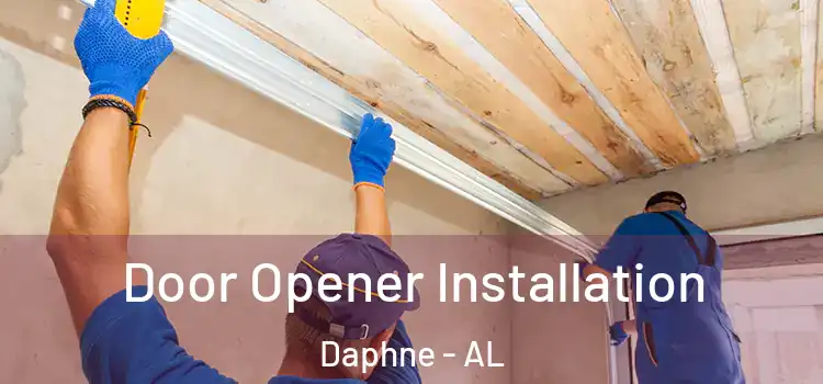  Door Opener Installation Daphne - AL