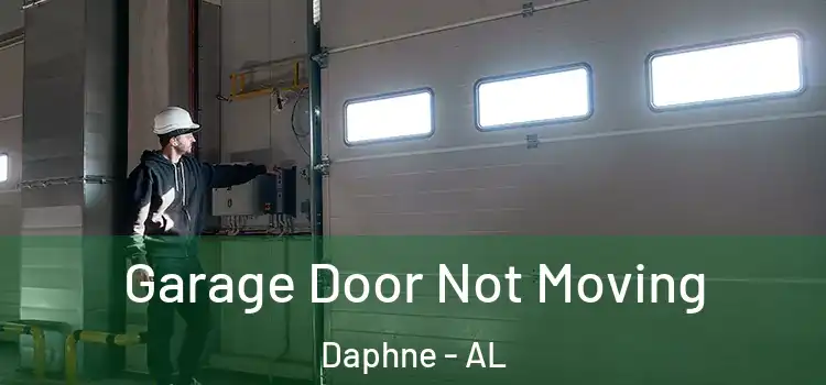  Garage Door Not Moving Daphne - AL