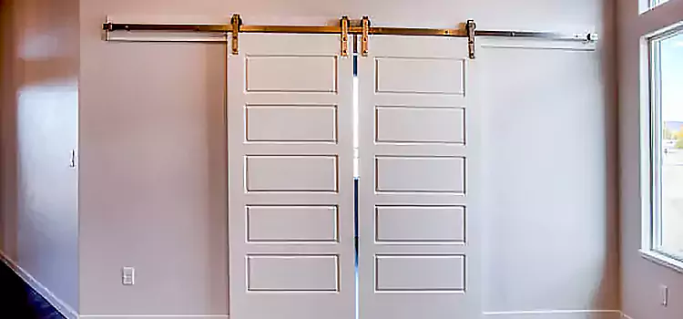 Glass Barn Door with Installation Hardware Kit Daphne