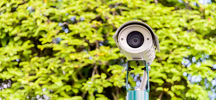 Advanced Surveillance Solutions for Every Need in Daphne