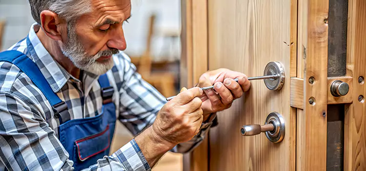 Mortise Replacement Lock Daphne