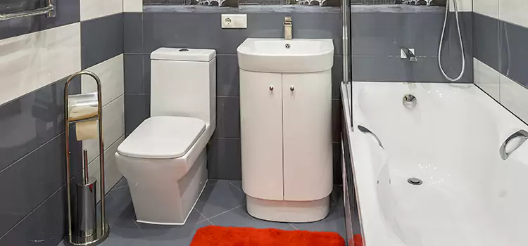 Hansgrohe Shaving Mirror Daphne